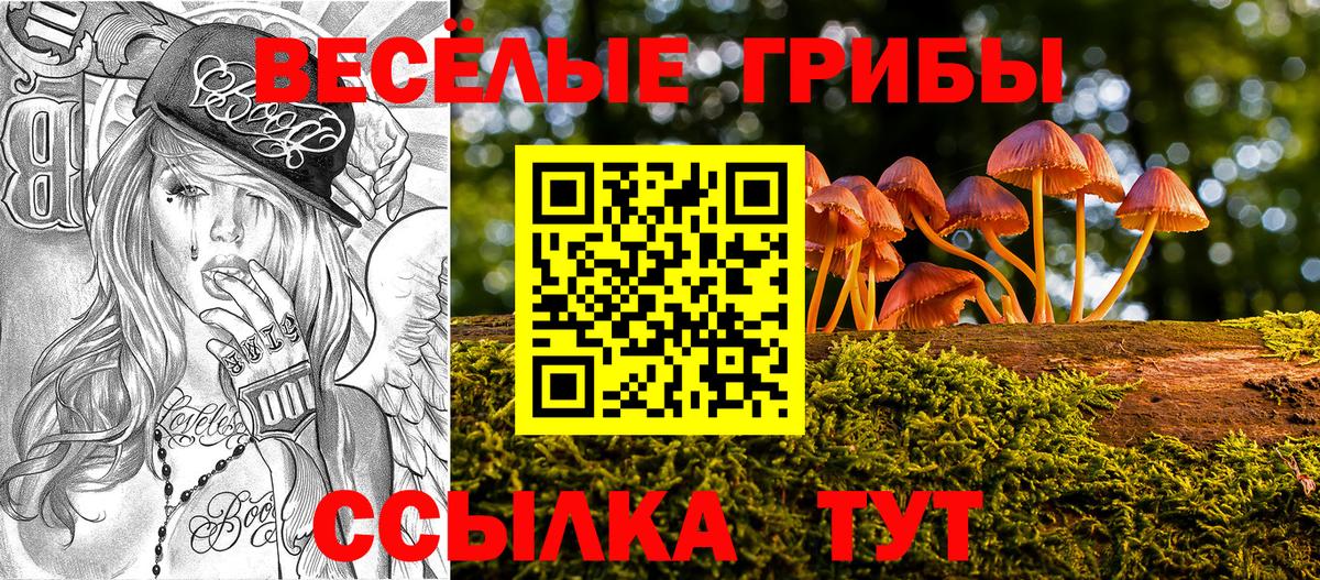 Псилоцибиновые грибы Magic Shrooms  Вход с VPN  Качканар 